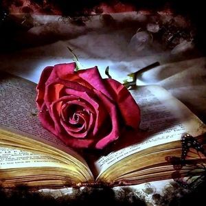 Meet your Posher, Dina